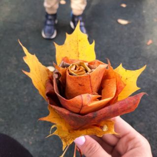 "Осенние цветы"