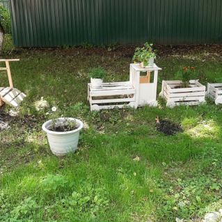 " Путешествие в цветочный мир"