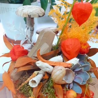 Подарок осени