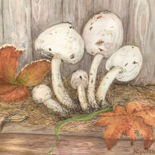 Чудной осени букет