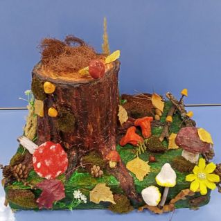 Грибная поляна