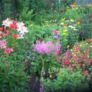 "Цветочная фантазия"