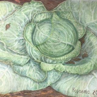 Капуста. На знмле не будет пусто- распушилася капуста. лист березы прилетел, в холод спрятаться хотел.