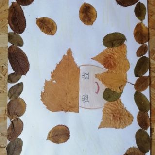 педагог дополнительного образования