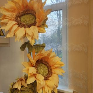 Подсолнухи