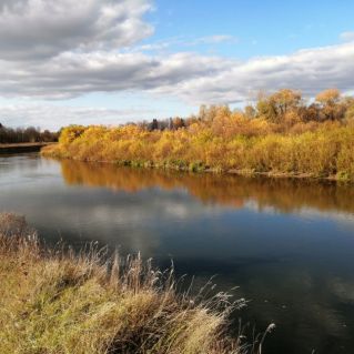 Осенний пейзаж