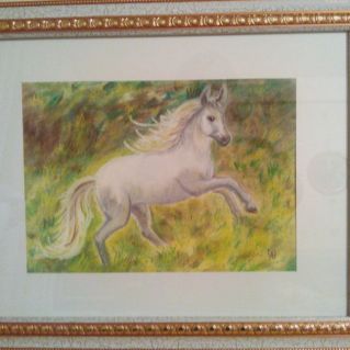 Белая лошадь