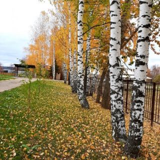 "Осень в красках"