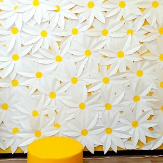 Фотозона к 8 Марта "Белые ромашки"