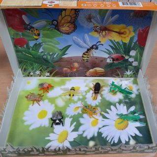 Макет "Насекомые"