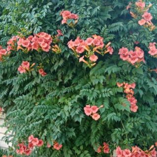 "Милый сердцу уголок"