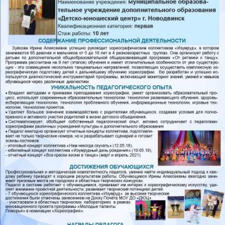 Эссе: Презентация деятельности паедагога дополнительного образования