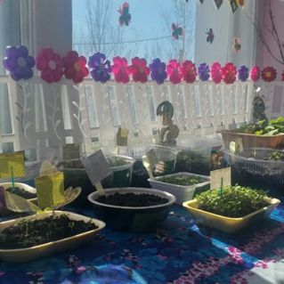 Огород на окне второй младшей группы "Почемучки" "Весенние фантазии"