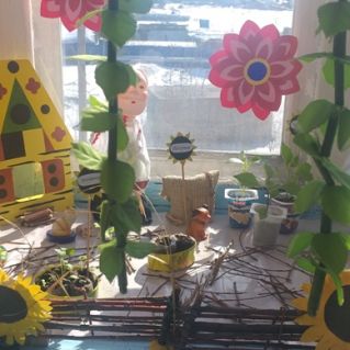 Огород на окне старшей группы "Подсолнухи" "Весенние фантазии"