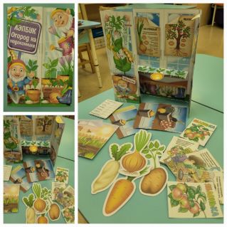 Лепбук "Огород на подоконнике "