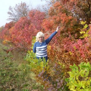 Осень в Новочеркасске