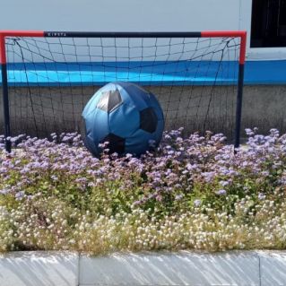 Мяч в воротах