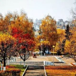 Краски осени