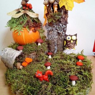 Чудеса осени