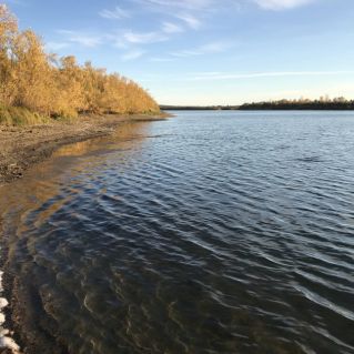 «Очарование осени»