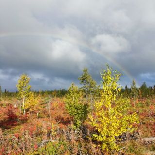 Ранняя осень