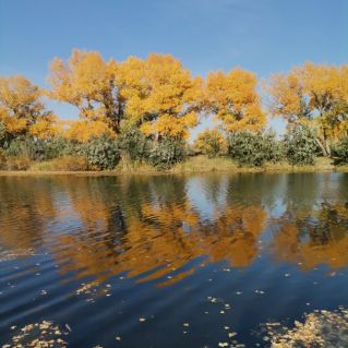 Красавица осень