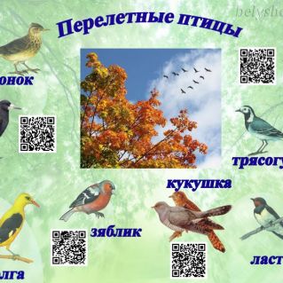 Интерактивный плакат "Перелетные птицы"