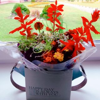 Икебана "Дыхание осени"