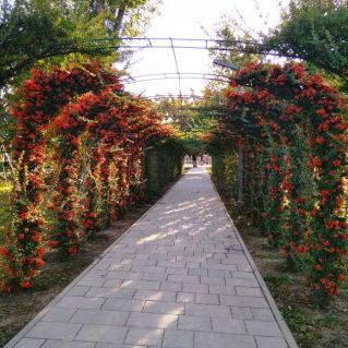 "Добро пожаловать в Осень!"