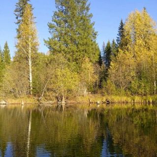 Осенний пейзаж