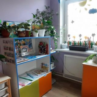 Уголок природы