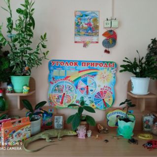 Оформление уголка природы