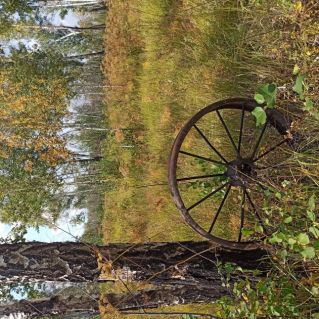Авторская фотография "Осенняя пастораль"