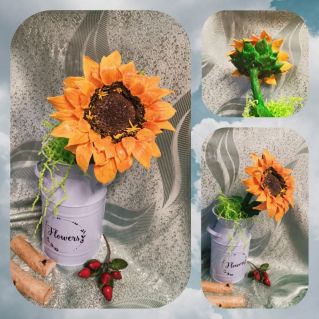 "Дитя Солнца"