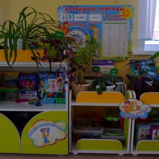 Уголок природы