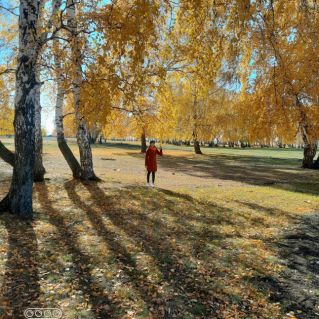 Золотая осень