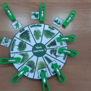 Наглядное пособие, игра с прищепками "Чей листок?"
