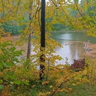 Осень у реки