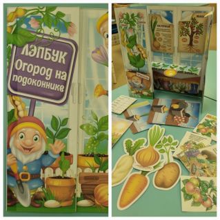 Лепбук "Огород на подоконнике"