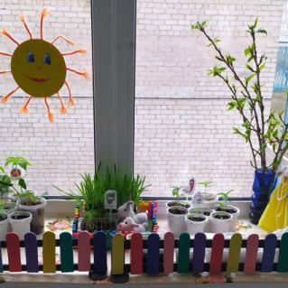 Чудо огород