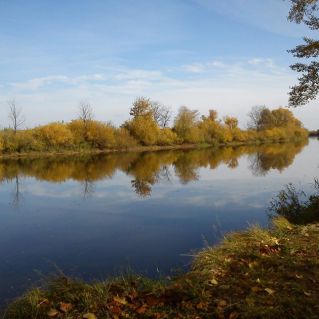 "Поэзия осени"