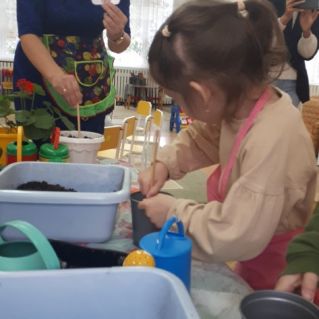 Визуальное расписание