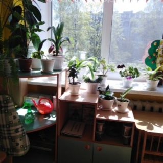 "Зеленый мир"