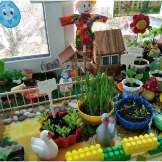 "Огород на подоконнике"