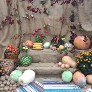 Фотозона "Дары осени"