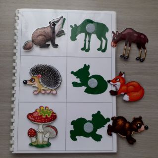 Альбом на липучках "Найди тень"