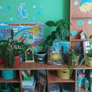 "Центр природы и экспериментирования"