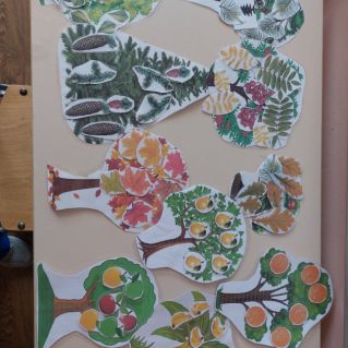 "Мир деревьев"