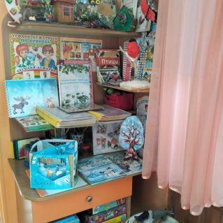 Уголок экологии