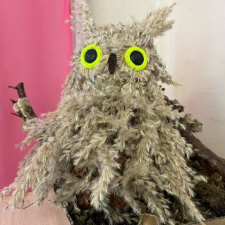 "Совушка-сова"